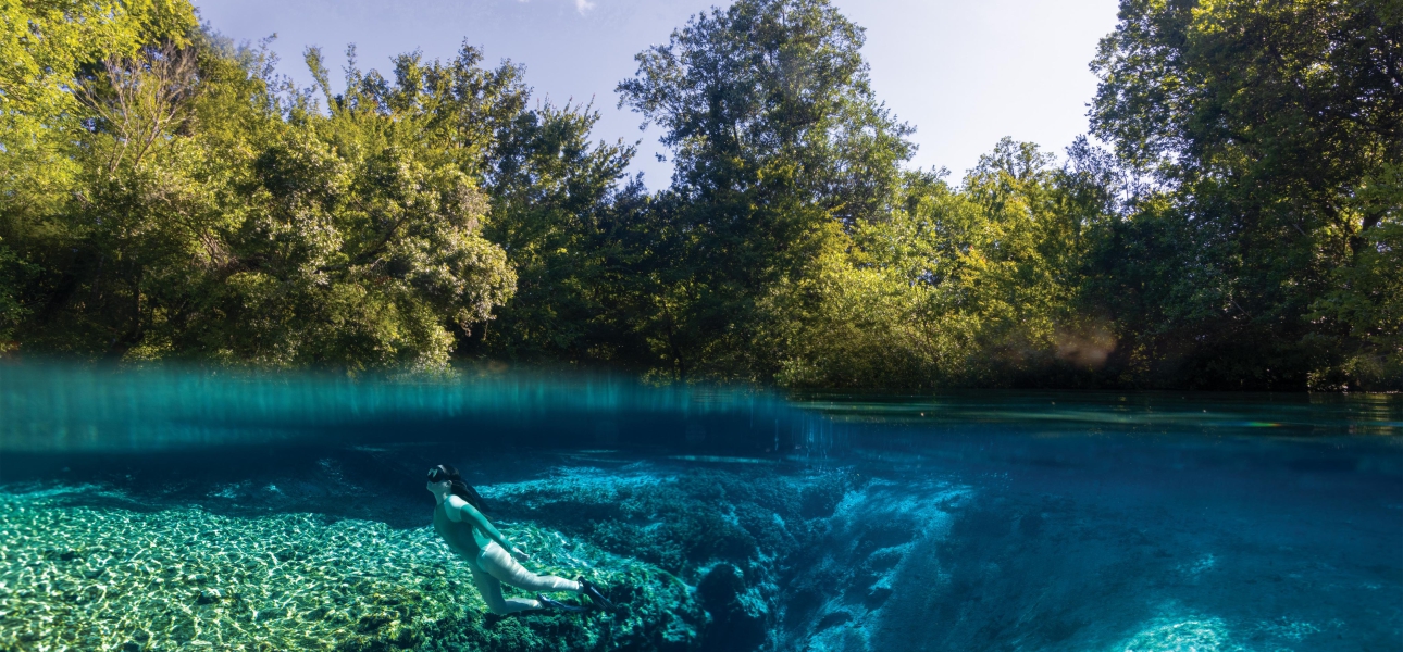 Ichetucknee Springs (c) Orange Video